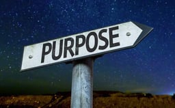 Sol purpose